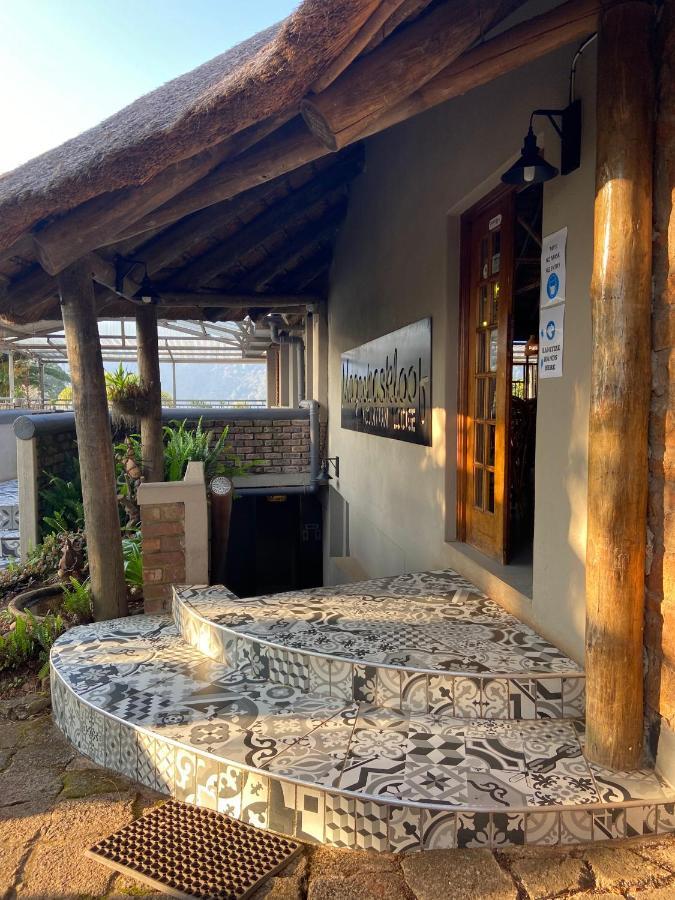 Magoebaskloof Mountain Lodge ツァニーン エクステリア 写真