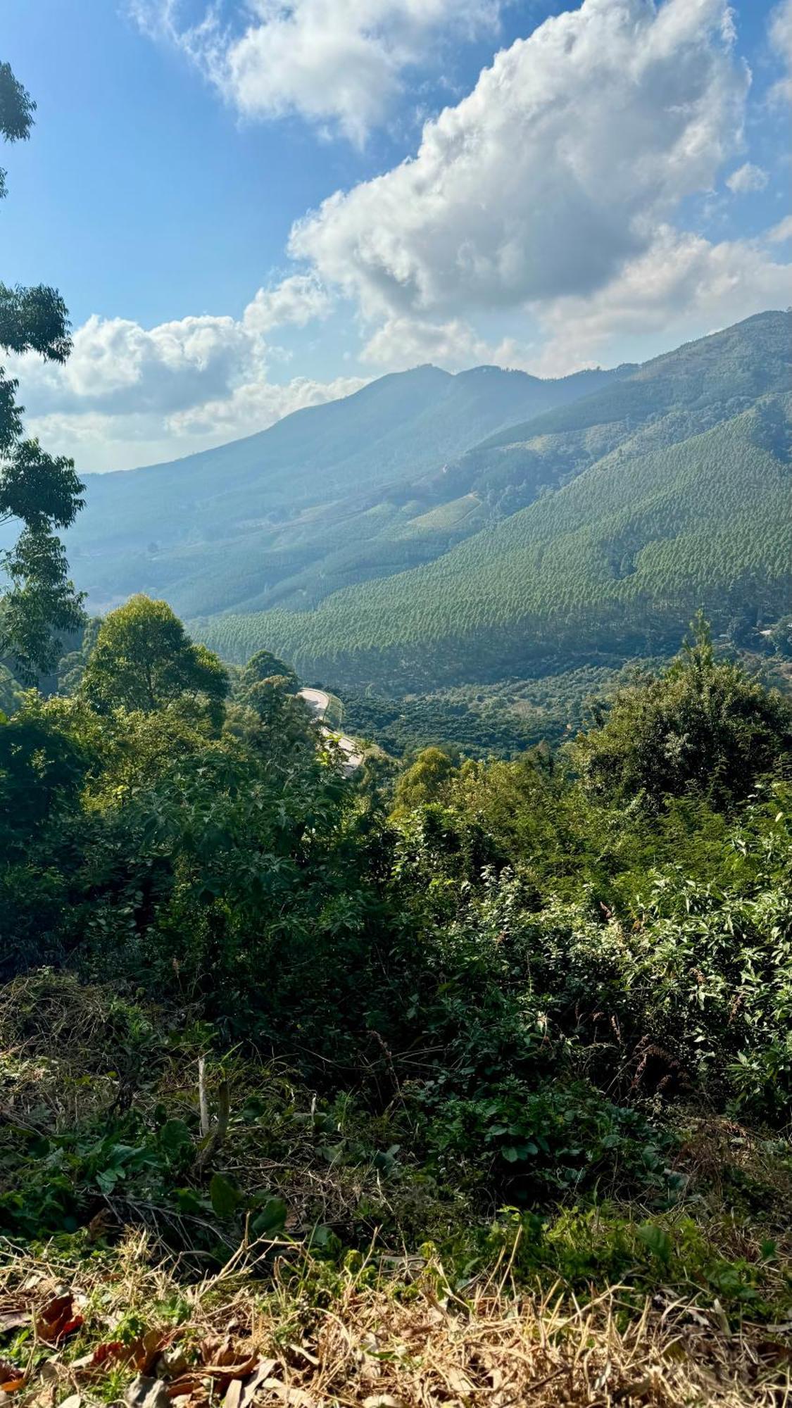 Magoebaskloof Mountain Lodge ツァニーン エクステリア 写真