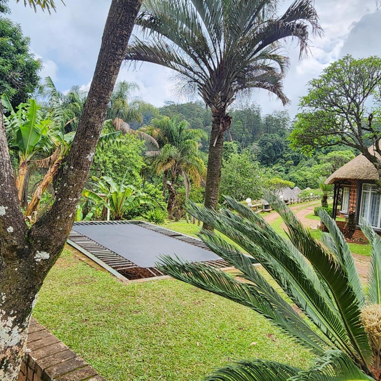 Magoebaskloof Mountain Lodge ツァニーン エクステリア 写真