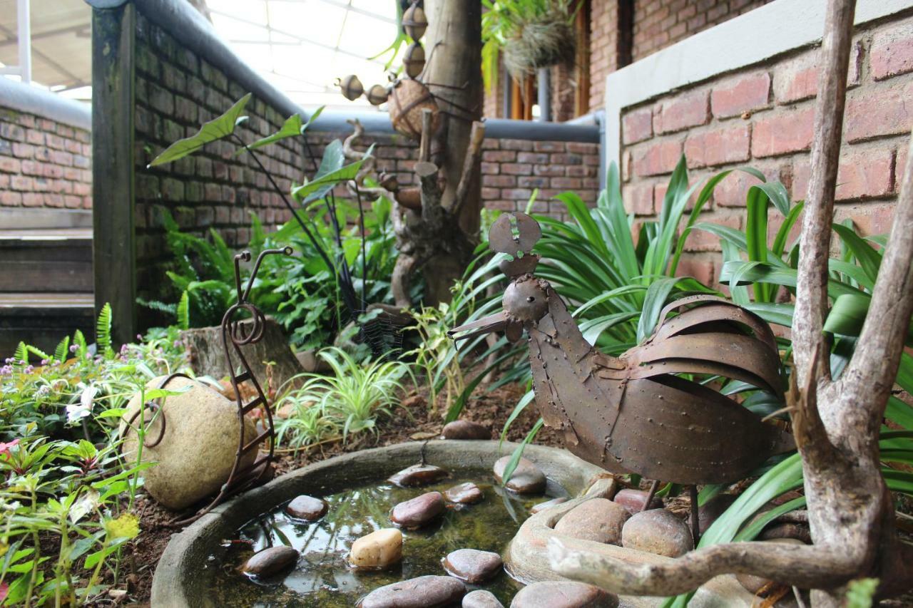 Magoebaskloof Mountain Lodge ツァニーン エクステリア 写真
